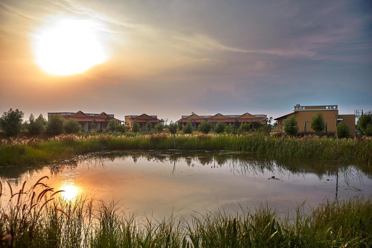 Blackbuck Safari Lodge Velavadar Bavliari Exterior foto