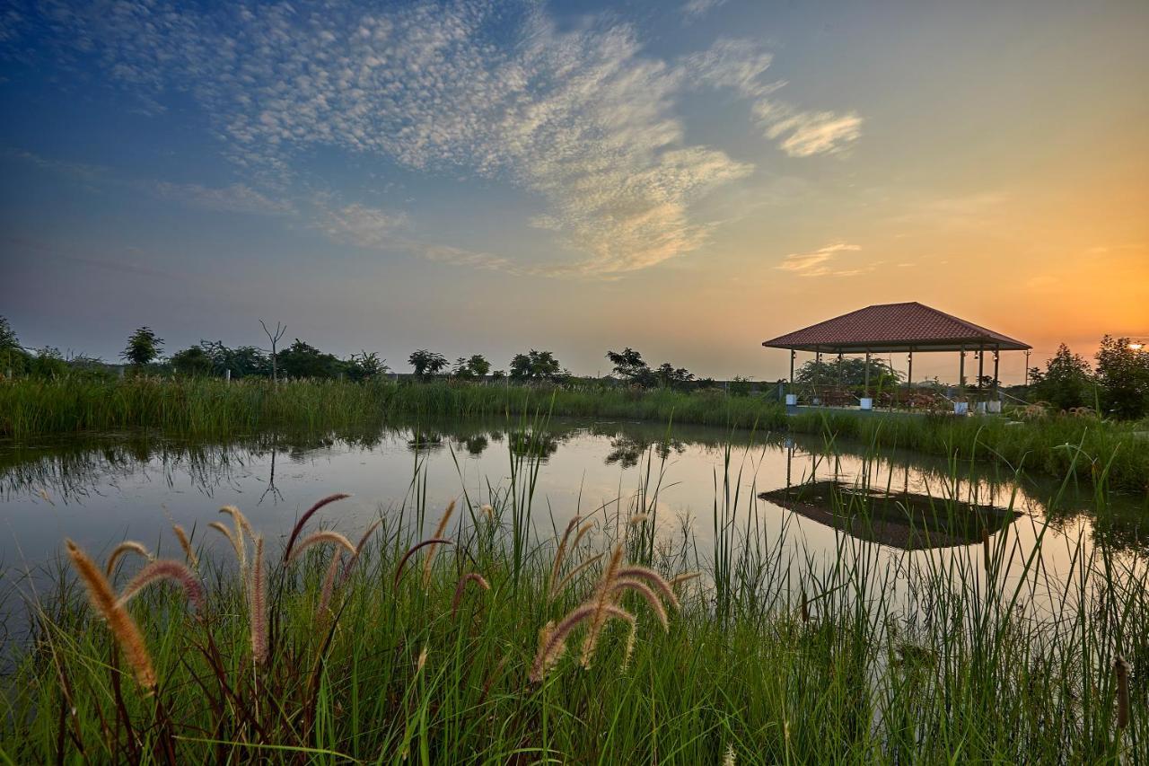 Blackbuck Safari Lodge Velavadar Bavliari Exterior foto